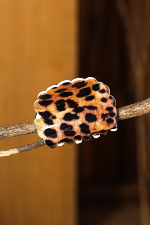 Brown Leopard Print Acrylic Small Hair Clip