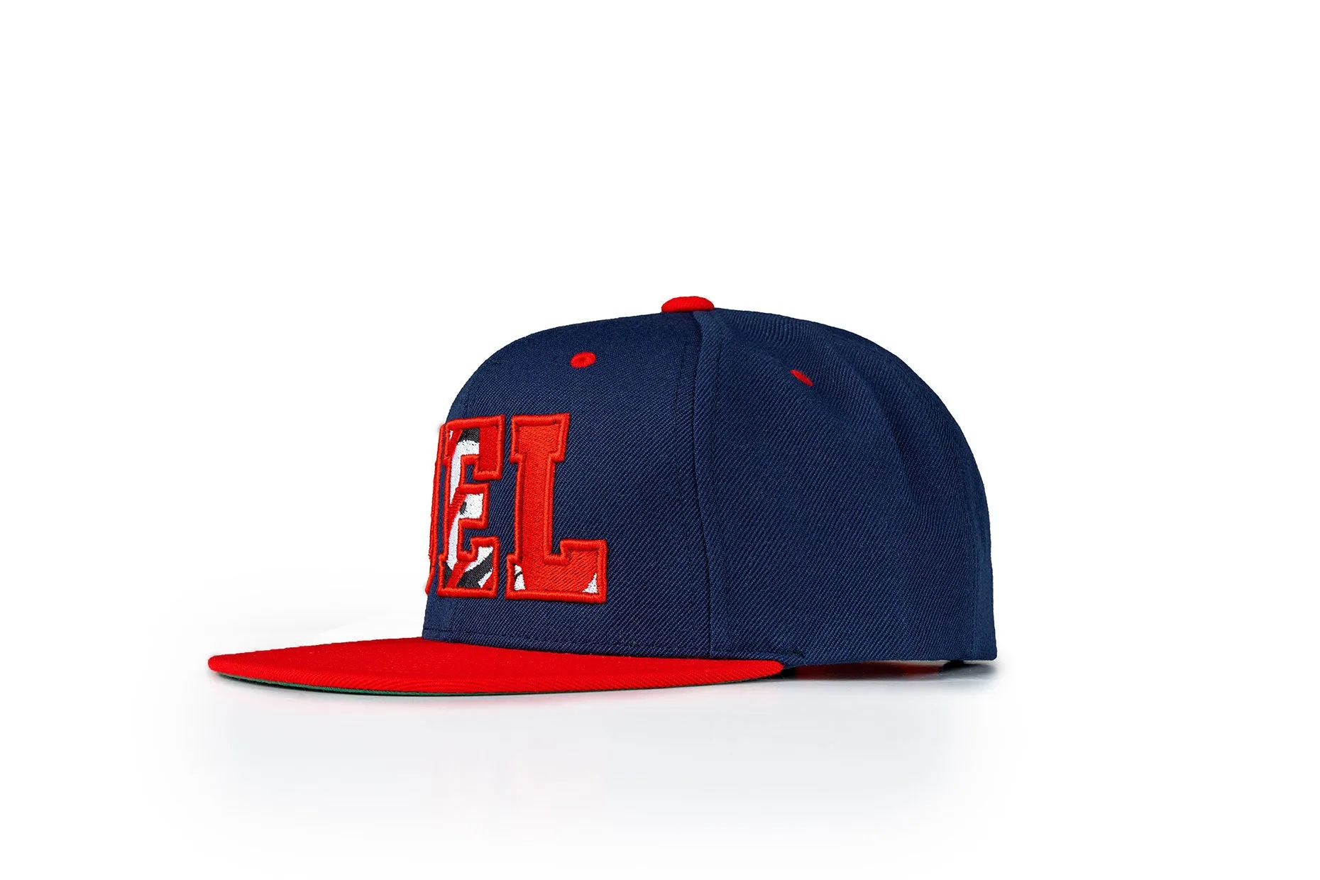 DEL Filled Snapback