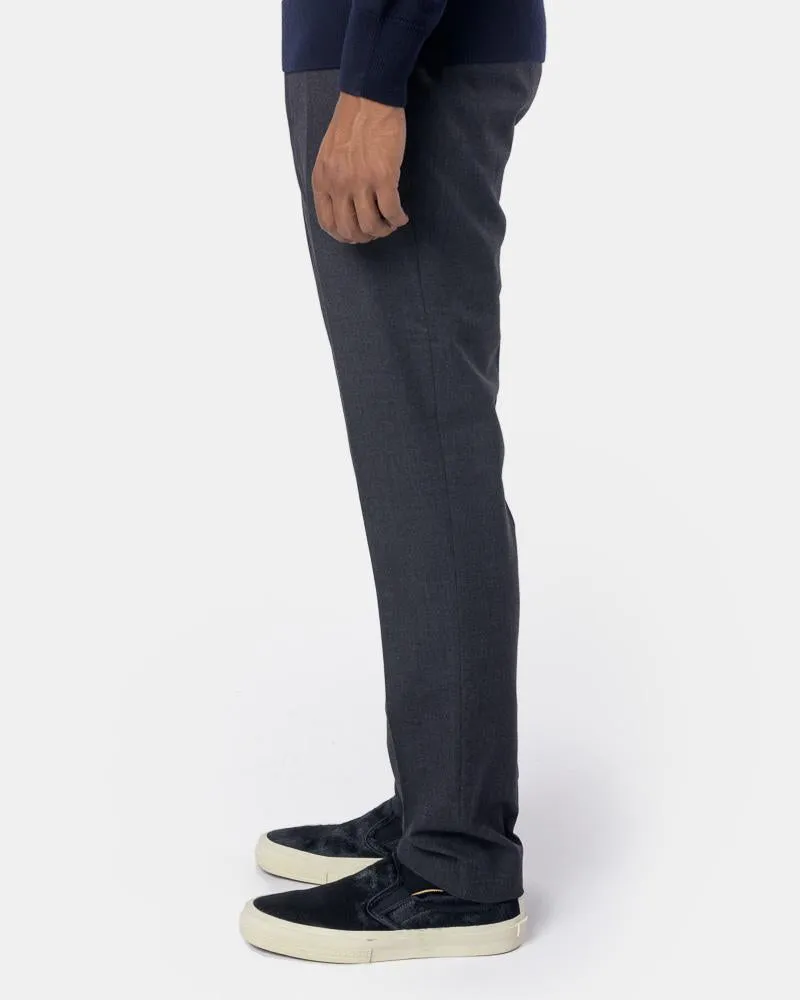 Patrini Pants in Ant