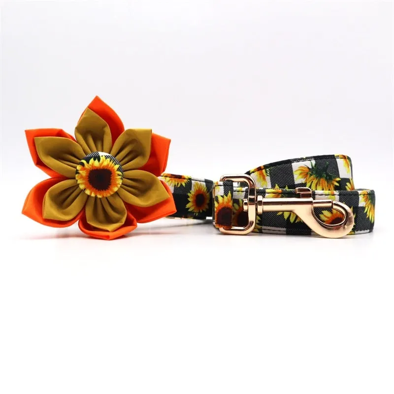 Sunflower and Paws: Personalized Flower Collars, Leashes Set